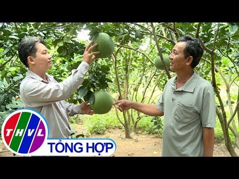 THVL | Nông thôn ngày nay: Vai trò của cấp ủy trong xây dựng nông thôn mới