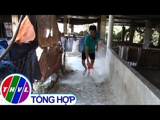 THVL | "Thủ phủ" heo Đồng Nai căng mình chống dịch tả