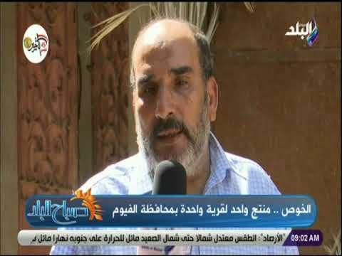 صباح البلد - مديربرنامج تمويل المشروعات هناك بروتوكول تعاون مع مؤسسات لتطوير مهنة الخوص بالقرية