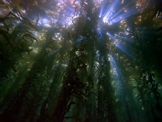 일산출장안마 -여대생！Ø7Øg73Ø1a9649{톡문의CNF698}일산전지역출장마사지일산출장안마'일산출장마사지황형'출장안마'‡↙♭출장오피출장오피