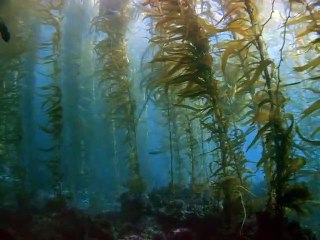 광진출장안마 -여대생！Ø7Øg8782a38ØØ{톡문의ZHF526}광진전지역출장마사지광진출장안마'광진출장마사지황형'출장안마'≫√▼출장오피'출장마사지'콜걸