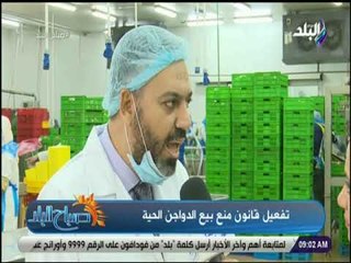 صباح البلد - د. زغلول خضر : تفعيل قانون منع بيع الدواجن الحية مصلحة عامة تهدف لمنع انتشار الأمراض