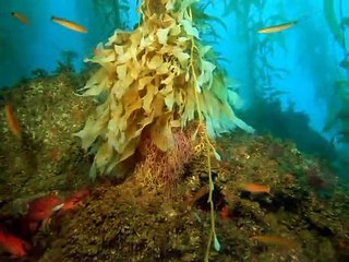 강남출장안마 -여대생！Ø7Øn7575vØØ62【문의톡LJ69】강남전지역출장마사지강남출장안마'강남출장마사지황형'출장안마'στυ출장오피'출장마사지'콜걸