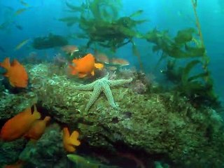 남양주출장안마 -여대생！Ø1Øx2997b5327【문의톡DDR88】남양주전지역출장마사지남양주출장안마'남양주출장마사지황형'출장안마'ĦĲĿ출장오피출장오피