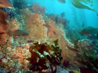 의정부출장안마 -여대생！Ø7Øg73Ø1a9649{톡문의CNF698}의정부전지역출장마사지의정부출장안마'의정부출장마사지황형'출장안마'ÞŦŊ출장오피'출장마사지'콜걸