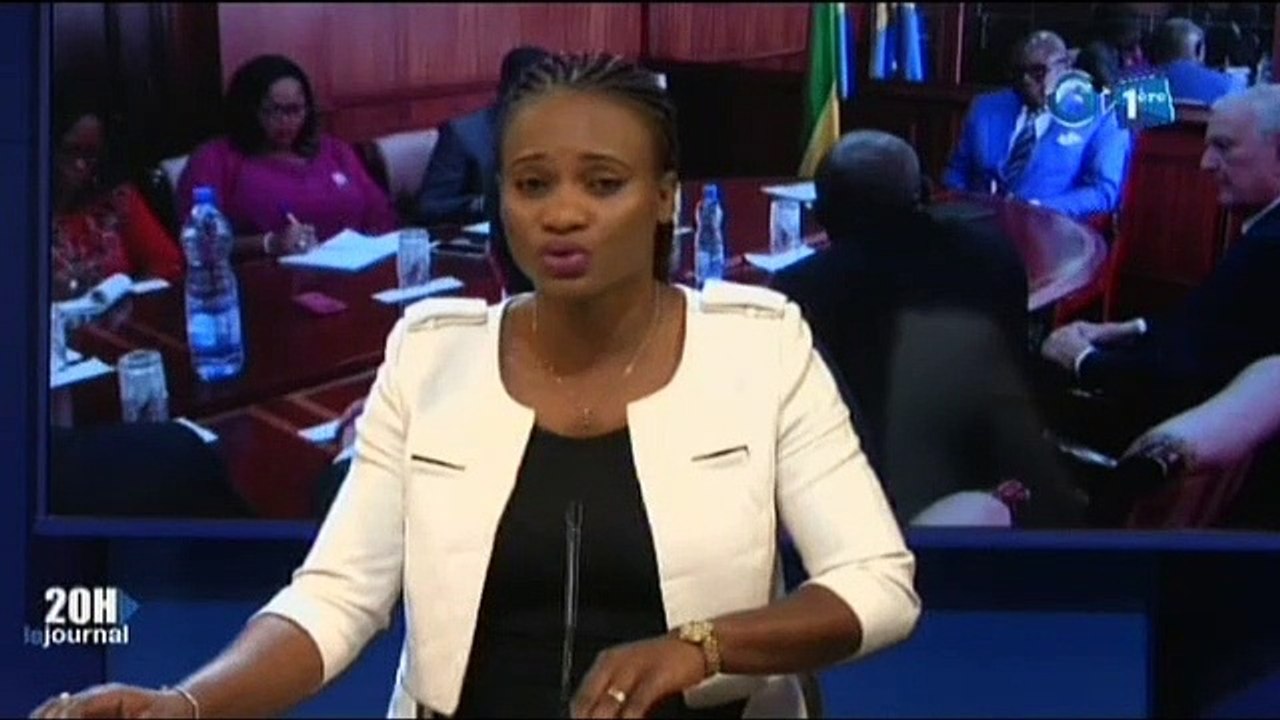 RTG - Audience du Vice Président avec plusieurs personnalités dont le facilitateur du partenariat pour les forets du bassin du Congo