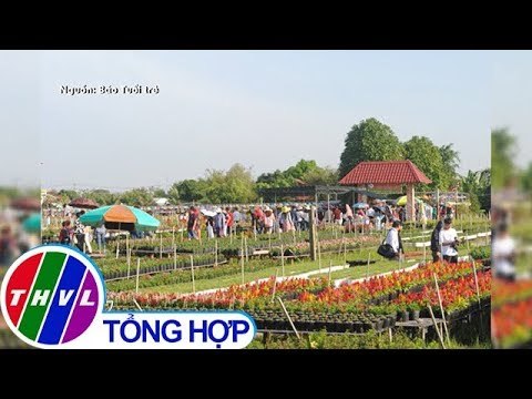 THVL | Hàng chục ngàn du khách đổ về làng hoa Sa Đéc, giao thông ùn tắc