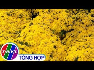 THVL | Nhộn nhịp chợ hoa tết Ninh Kiều