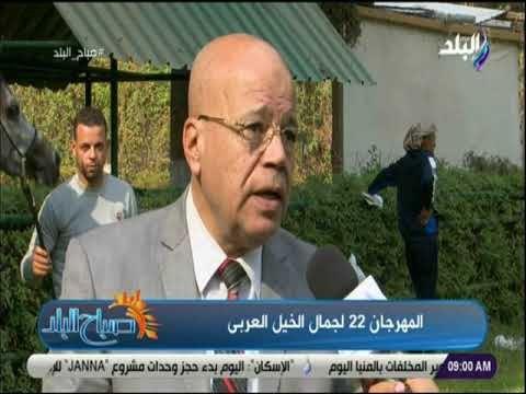 صباح البلد - الزراعة: اجمالى عدد الخيول المشاركة فى مهرجان جمال الخيل العربى أكثر من 360 حصان