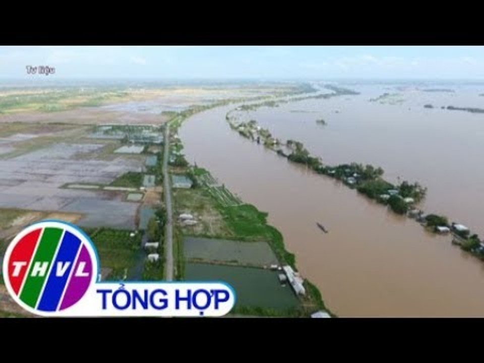 THVL | Nước sông Mekong cao bất thường, nhiều nơi bị ngập