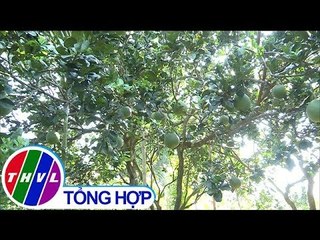 THVL | Đảm bảo thu nhập cho xã nông thôn mới