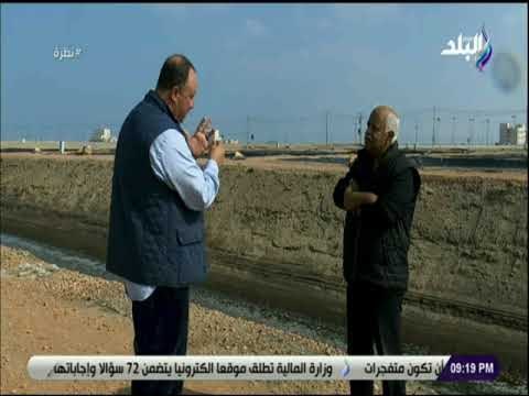 نظرة - شاهد .. مصر تكتفى ذاتيا من الجمبري العام القادم بسبب إنتاج بركة غليون