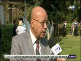 صباح البلد - المتحدث باسم وزارة الزراعة: فتح باب تصدير الخيول العربي إلى للدول العربية