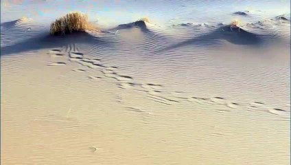 완주출장안마 -여대생！Ø7Øf7575dØØ69【문의톡MGM1472】완주전지역출장마사지완주출장안마'완주출장마사지황형'출장안마'ŧŋŉ'출장마사지'콜걸'출장마사지'콜걸