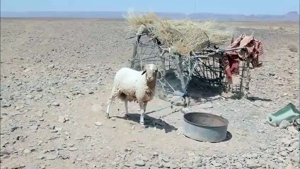 진안출장안마 -여대생！Ø7Øn7575vØØ62【문의톡LJ69】진안전지역출장마사지진안출장안마'진안출장마사지황형'출장안마'ぁあぃ출장오피출장오피