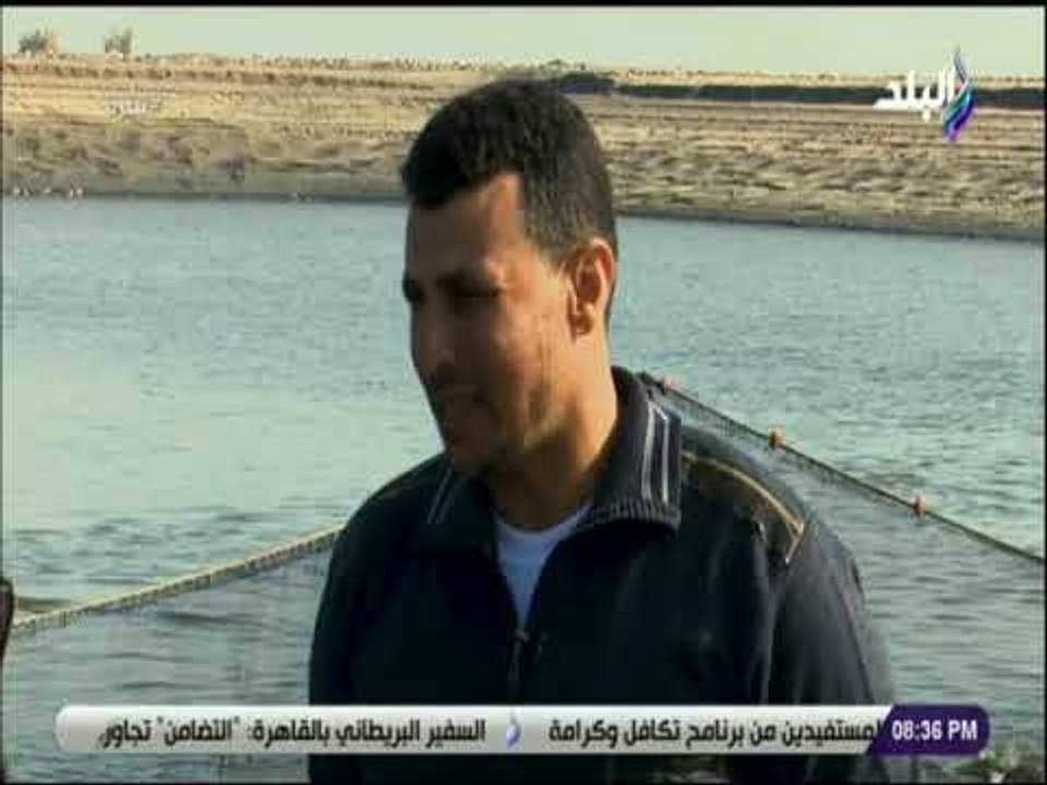 نظرة  - مشرف صيادين فى بركة غليون: 20 الى 30 طن...