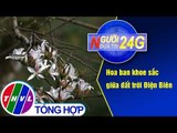 THVL | Người đưa tin 24G (11g ngày 07/03/2019)