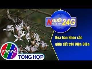 THVL | Người đưa tin 24G (11g ngày 07/03/2019)