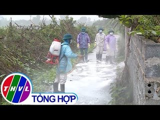 THVL | 13 tỉnh thành phát hiện có dịch tả heo Châu Phi