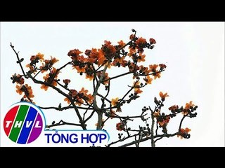 THVL | Chào buổi sáng (11/03/2019)