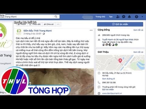THVL | Đề nghị xử lý fanpage kêu gọi tẩy chay thịt heo bị dịch tả heo châu Phi