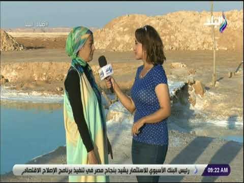 صباح البلد - فنانة تشكيلية تكشف طرق استخدام بلورات الملح ببحيرة سيوة في الاعمال الفنية
