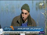 صباح البلد - حكاية الملك فاروق مع صيد البط ..«عاشق الصيد»