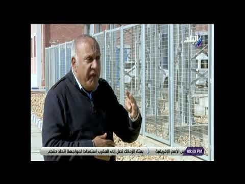 نظرة - م. مدحت رمضان يكشف أخر التطورات في مشروع بنبان للطاقة الشمسية