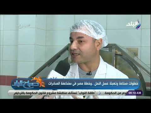 صباح البلد - خطوات صناعة وتعبئة عسل النحل ..وخطة مصر فى مضاعفة الصادرات مع صباح البلد