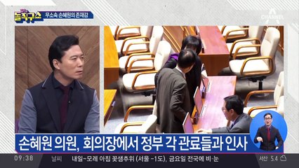 무소속 손혜원, 국회서 존재감 확인?