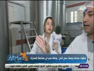 صباح البلد - رئيس اتحاد النحالين: نقوم بتعبئة العسل بشكل أوتوماتيكي ونستعد للتصدير الخارج