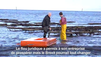 Brexit: la complainte d'un ostréiculteur nord-irlandais