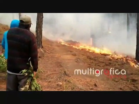 Terrible Incendio forestal se desato en el bosque del Cofre en Las Vigas México