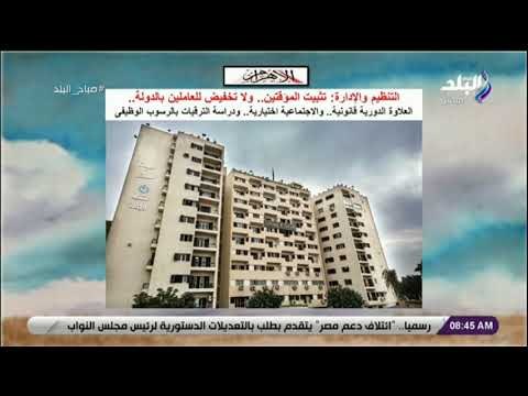 صباح البلد - التنظيم والإدارة: تثبيت المؤقتين.. ولا تخفيض للعاملين بالدولة.