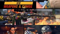 New Gun and Shamrock & Awe Event Coming! (Mini 14 Rifle)
