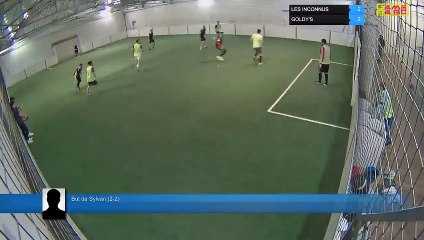 But de Sylvan (2-2) - LES INCONNUS Vs GOLDY'S - 11/03/19 19:34 - LIGUE 2 - Poitiers Game Parc