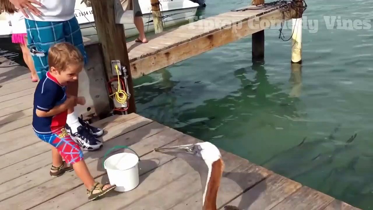 Funny Animal attack on peoples and funny viral videos 2018 - Tiptop comedy vines - YouTube