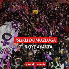 Islıklı domuzluğa karşı Türkiye ayakta