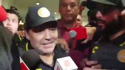 LUP: Dorados va por todo en C.U.