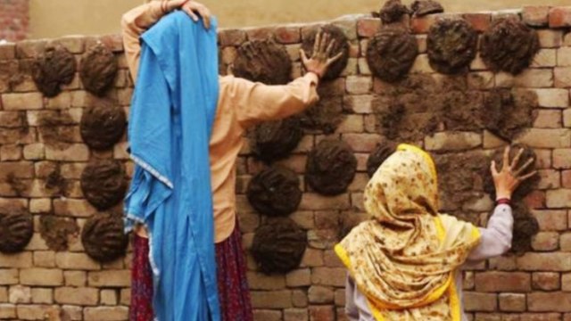 Taapsee Pannu and Bhumi Pednekar share the first glimpse of Saand Ki Aankh | FilmiBeat