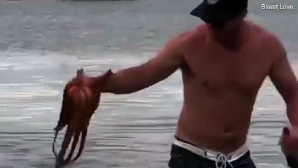 Video herunterladen: Un homme sauve une mouette d'être noyée par une pieuvre