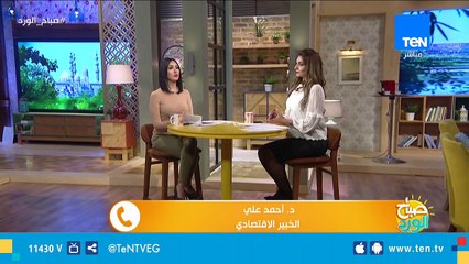 د. أحمد علي الخبير الاقتصادي: الدولة لم تتكلف جنيهًا واحدا في العاصمة الإدارية الجديدة