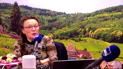 Jean-Michel Obrecht : cotes de bettes (tourte)