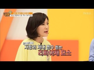 뱃살 제거의 1인자 보이차의 효과는? [내 몸 플러스] 61회 20170602