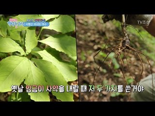 먹으면 죽는 약초가 있다?! [행복한 저녁] 41회 20170613