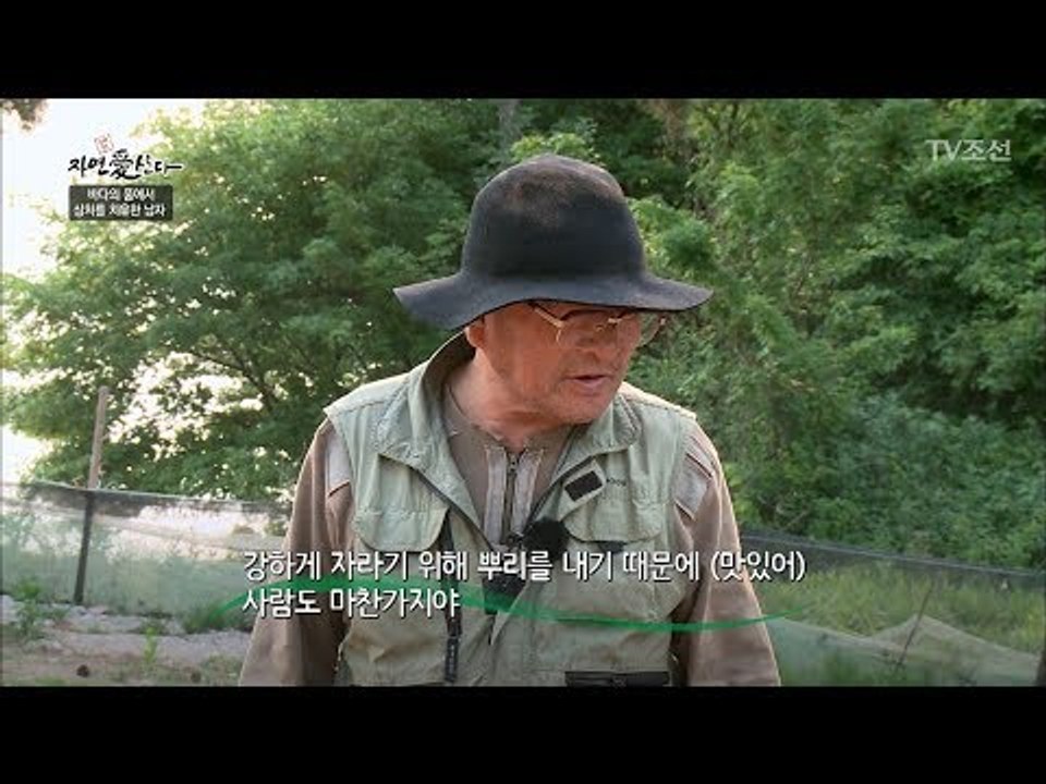 다음을 위한 준비는 밤고구마! [자연愛산다] 9회 20170613