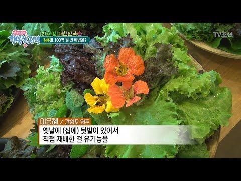 연 매출 100억! 풀 밖에 없는 상추 맛집?! [행복한 저녁] 40회 20170612
