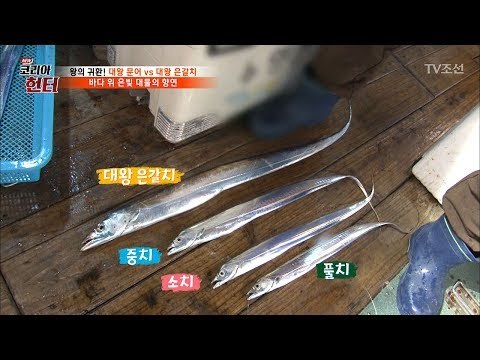 1m가 넘는 대왕 은갈치를 잡은 헌터! [뉴 코리아 헌터] 54회 20170612