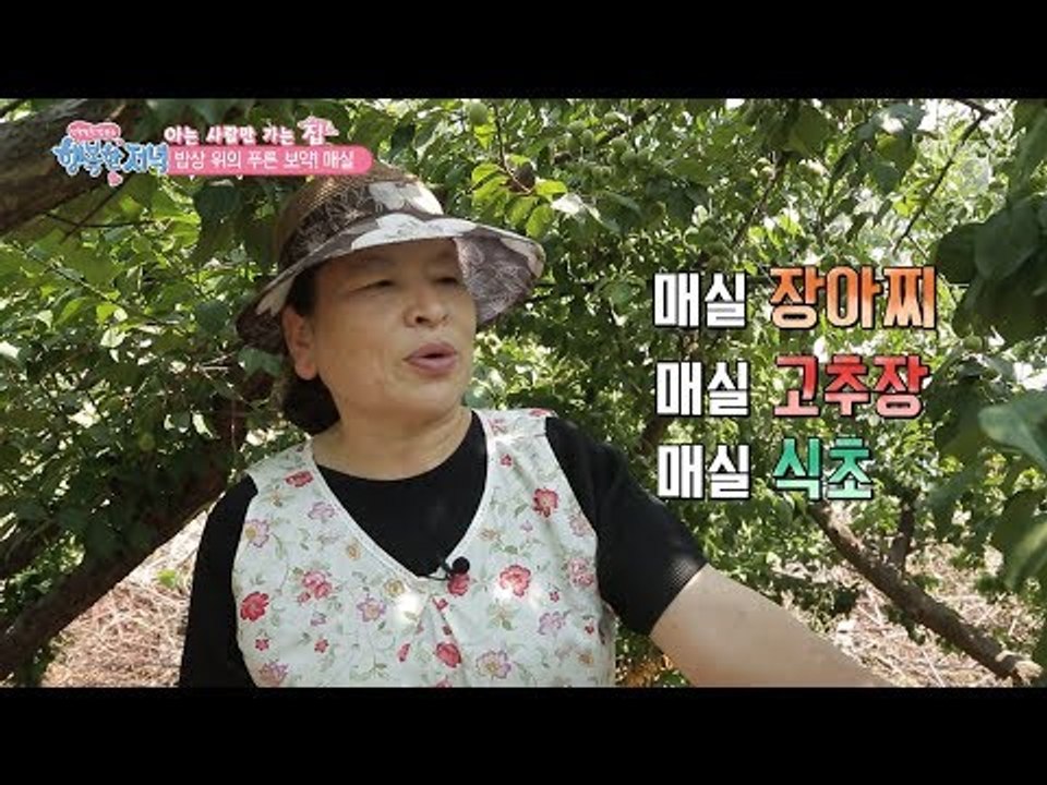 매실의 영양분을 모두 다! 매실진액! [행복한 저녁] 46회 20170620