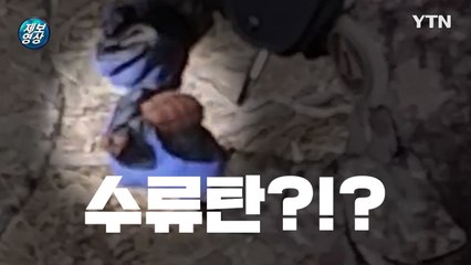 [제보영상] 설악산에서 발견된 오래된 수류탄 / YTN